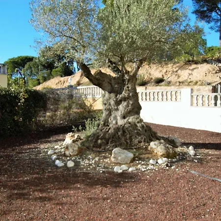 Villa Alba *